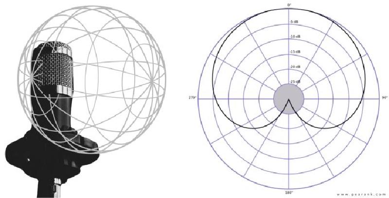 Image of cardiod polar pattern in 3D